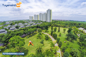 Ngành Lâm nghiệp đô thị