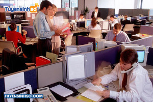 Ngành Quản trị văn phòng